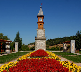 Bilecik Oyuncak Satın Al