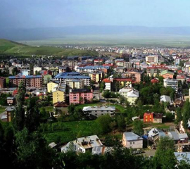 Muş Oyuncak Satın Al