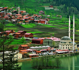 Trabzon Oyuncak Satın Al