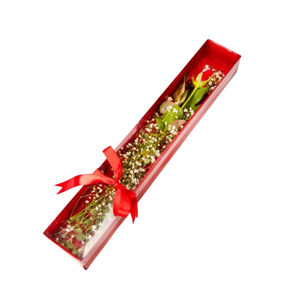 Pencereli Kutuda Tek Kırmızı Gül Özel Hediye Gül Kutusu