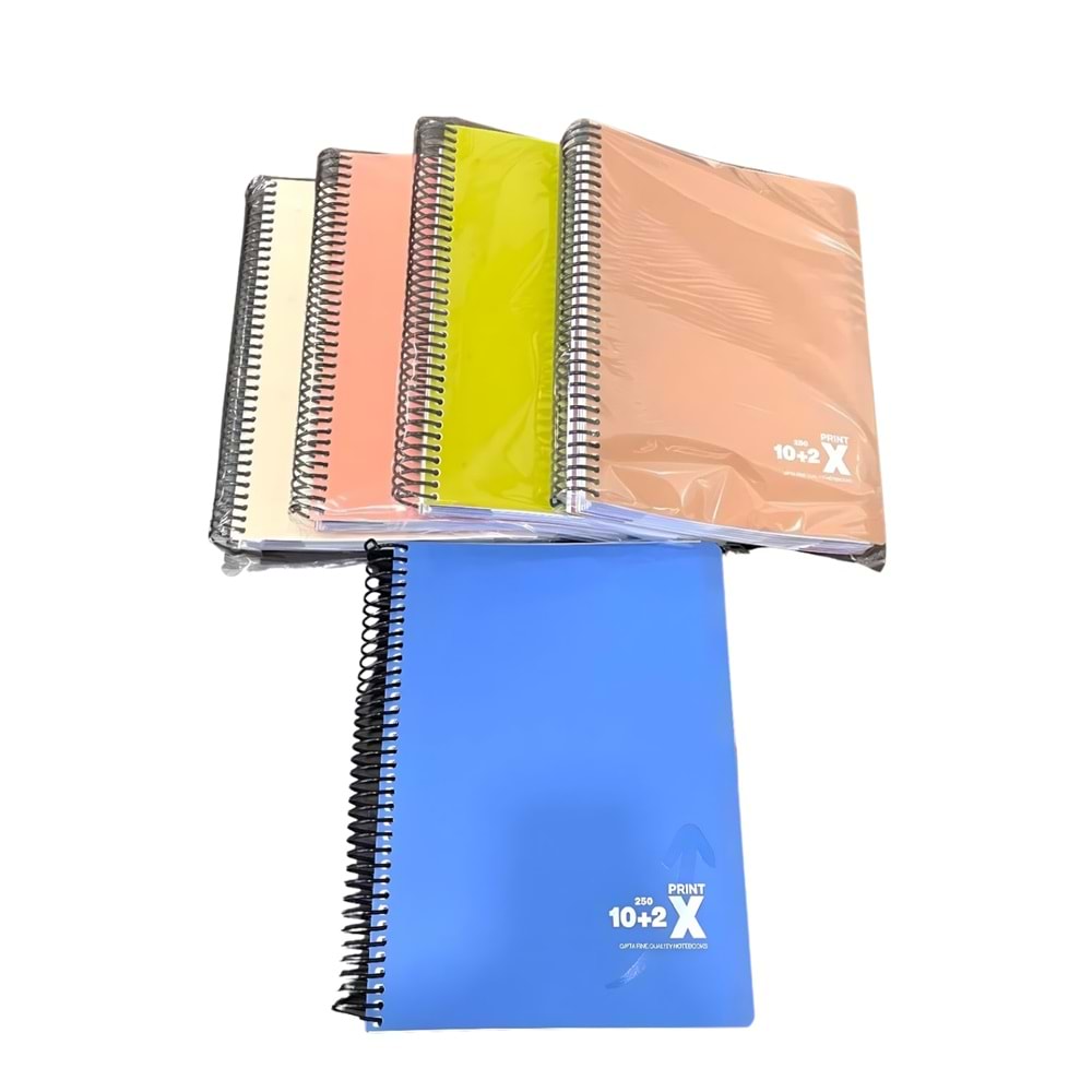 PRINT-X SP. SEP. PP. KPK.DEF. A4 250 YP. 10+2