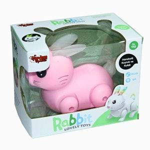 LZH-99777-1 MÜZİKLİ VE IŞIKLI HAREKETLİ ZIP ZIP