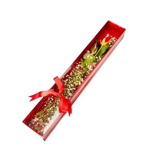 Pencereli Özel Kutuda Tek Kırmızı Gül