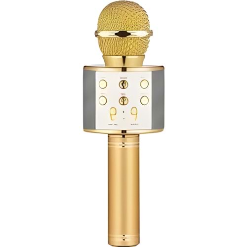 Blic Handheld Ktv Mikrofon Karaoke Bluetootlu Bls-25 Ws-858 Bls-09 5467 3826