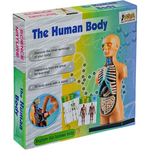 00926-3305 KT VÜCUT SET