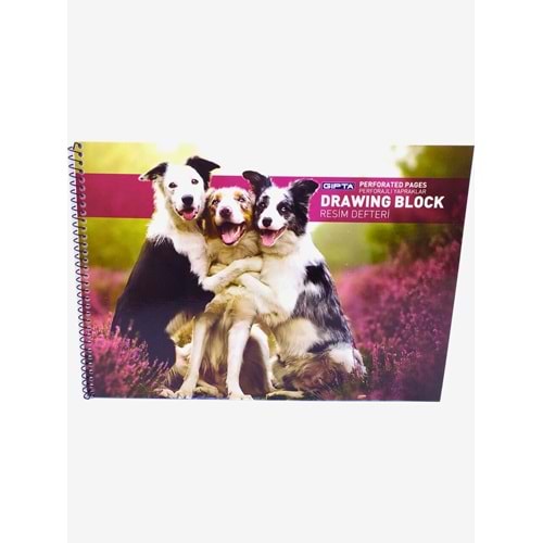 RESİM DEFTERİ TELLİ KK KAPAK 17*25